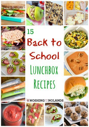 15 Back to School Lunchbox Recipes - Noshing With the Nolands