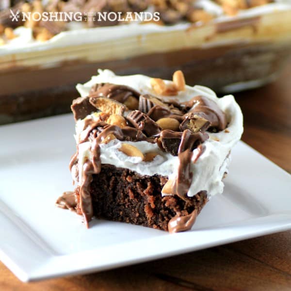 Best Reese's Peanut Butter Chocolate Cake by Noshing With The Nolands square (Custom)