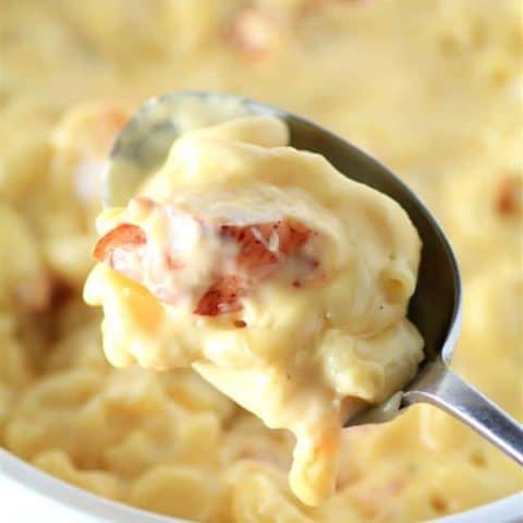 Stovetop Lobster Macaroni and Cheese