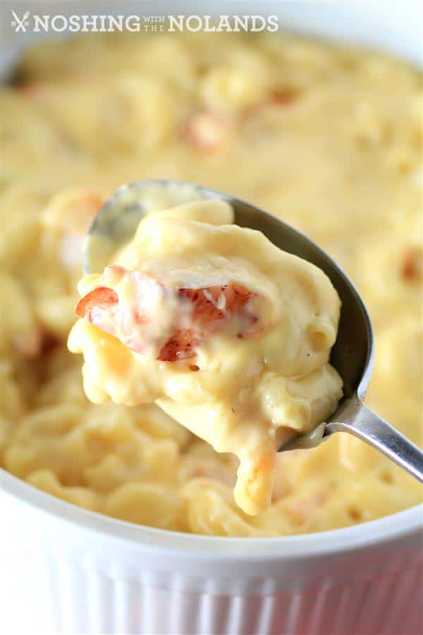 Stovetop Lobster Macaroni and Cheese by Noshing With The Nolands (4) (Custom)