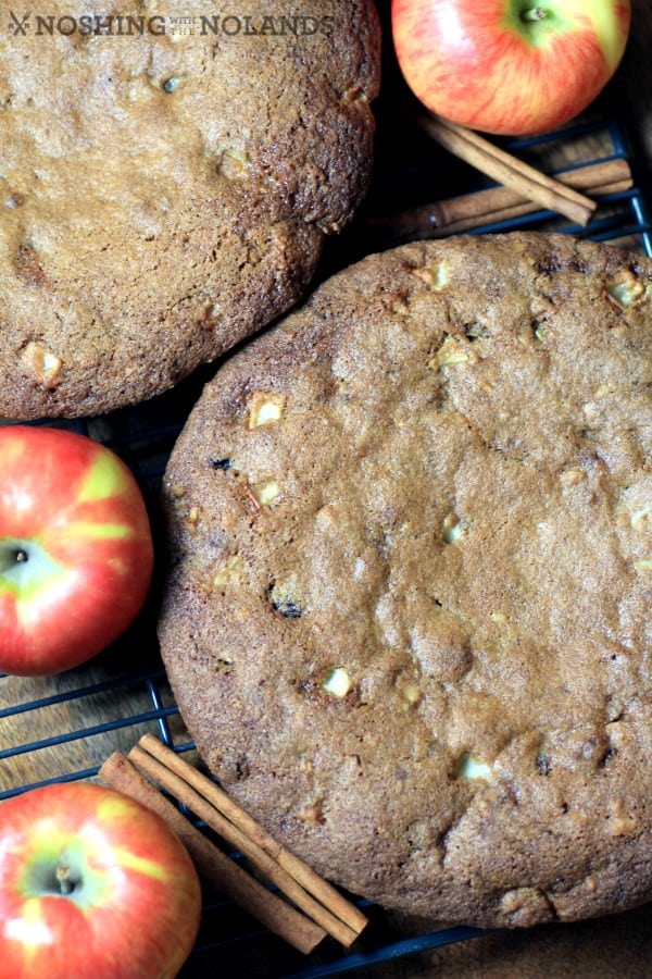 Apple Walnut Spice Cake by Noshing With The Nolands