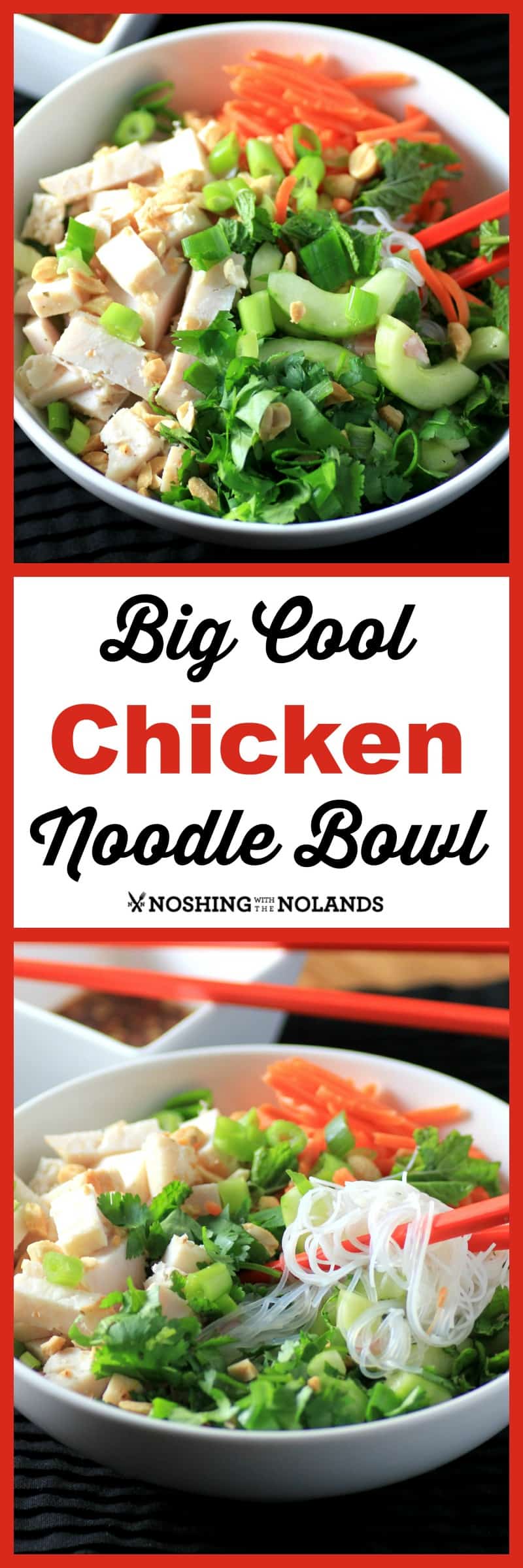 Big Cool Chicken Noodle Bowl