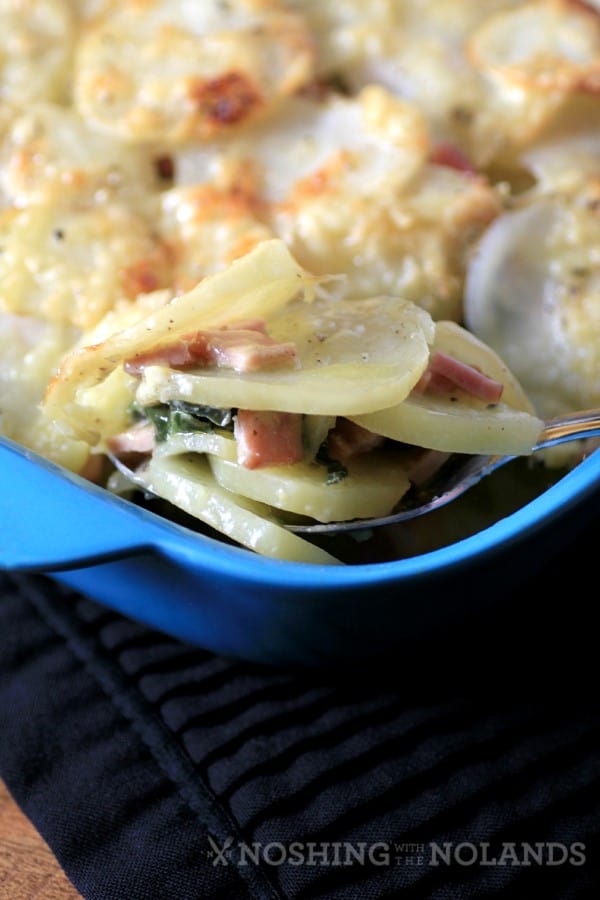 Canadian Bacon, Swiss Chard, Potato Gratin by Noshing With The Nolands (3) (Custom)