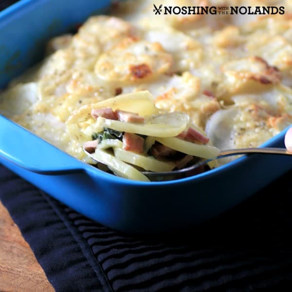 Canadian Bacon, Swiss Chard, Potato Gratin by Noshing With The Nolands square (Custom)