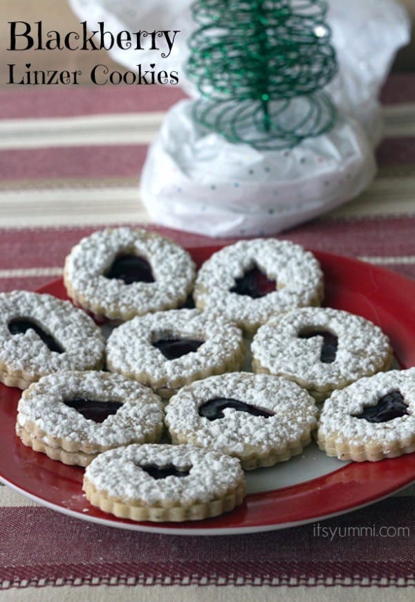 26 Freezable Christmas Cookie Recipes by Noshing With The Nolands