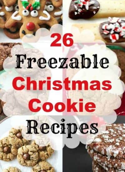 cropped-26-Freezable-Christmas-Cookie-Short-Pin.jpg