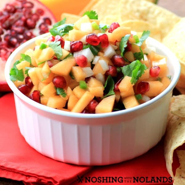 Cantaloupe Pomegranate Salsa by Noshing With The Nolands 
