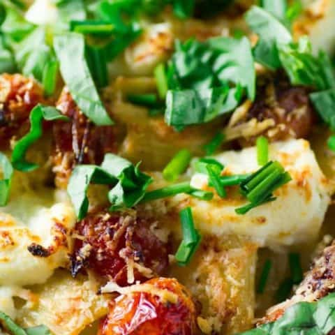 Baked Tortiglione with Three Cheeses, Vine Tomatoes and Herbs