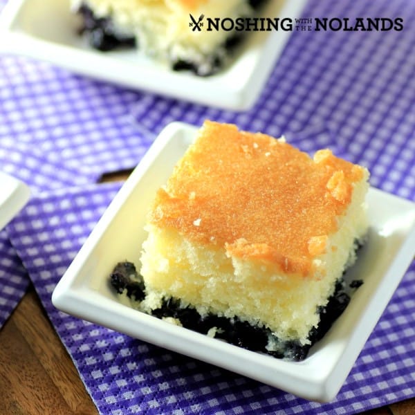 Blueberry Breakfast Cake by Noshing With The Nolands 