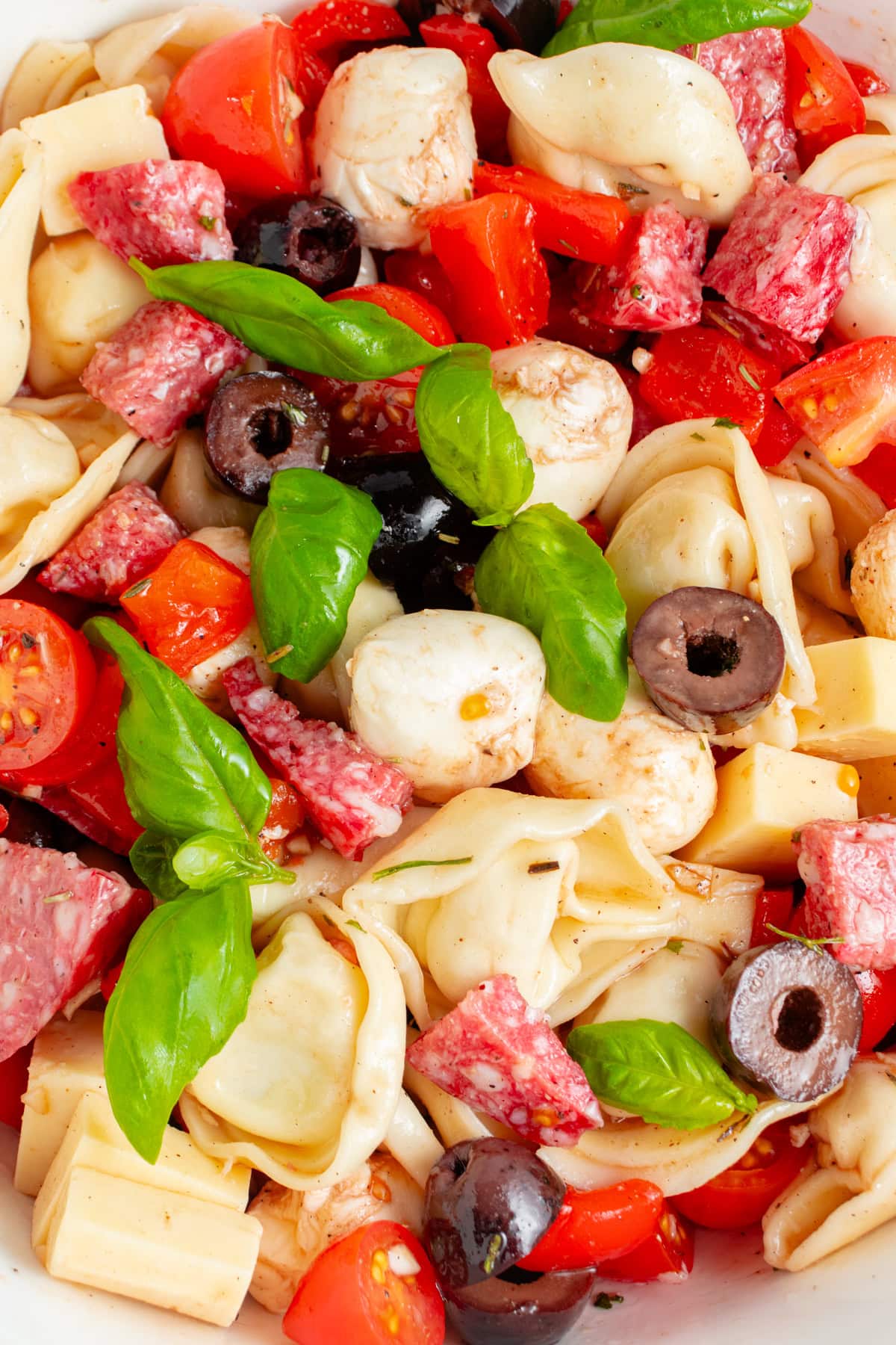 Get outside and enjoy the day with these 50 Picnic Basket Essentials. There is something for everyone to pack the perfect picnic and enjoy family time and the great outdoors. Close-up of Tortellini Pasta Salad.