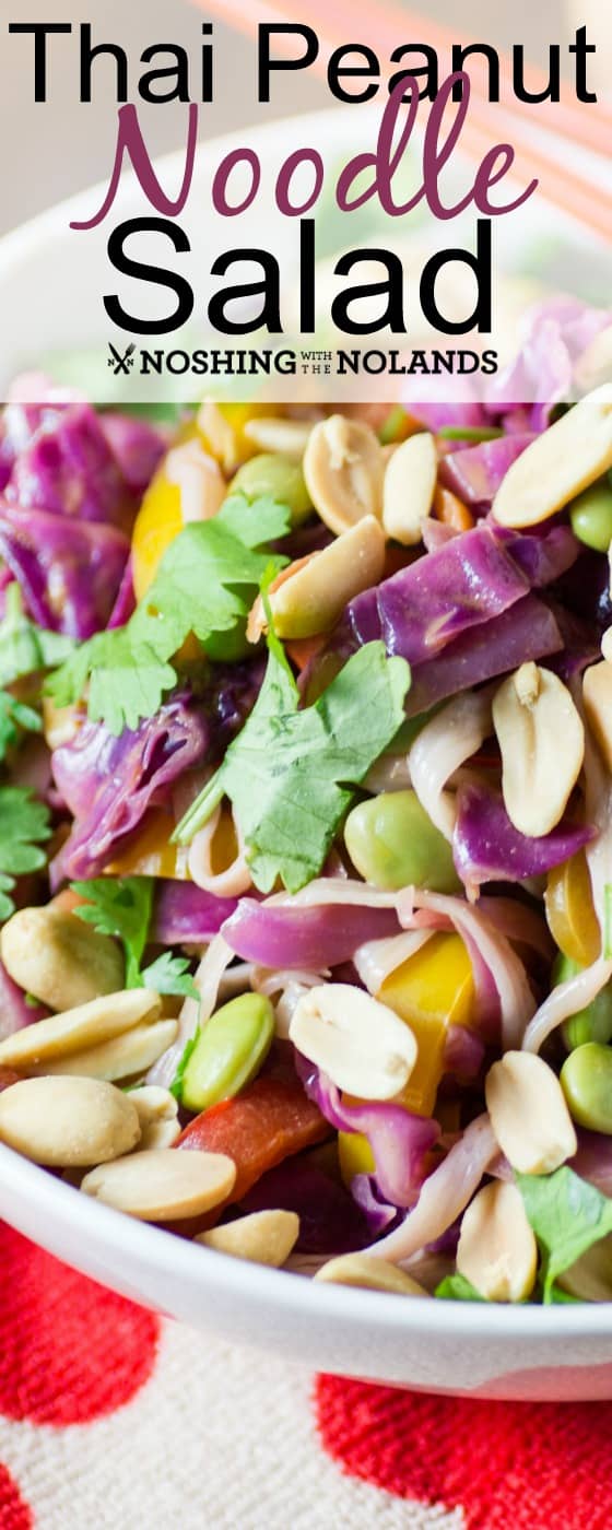 Thai Peanut Noodle Salad