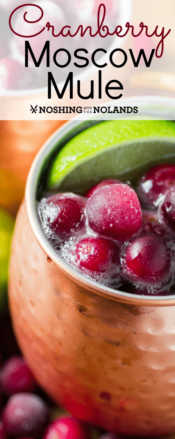 Cranberry Moscow Mule drink recipe for the holidays
