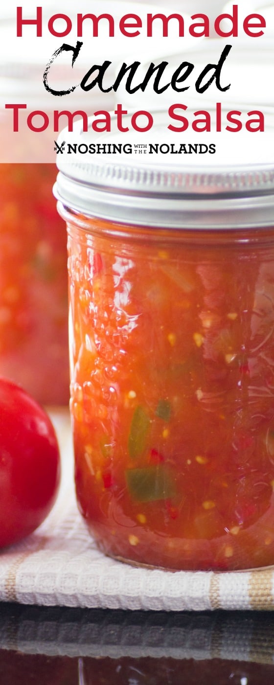 Homemade Canned Tomato Salsa Is The Best With Fresh Summer Produce