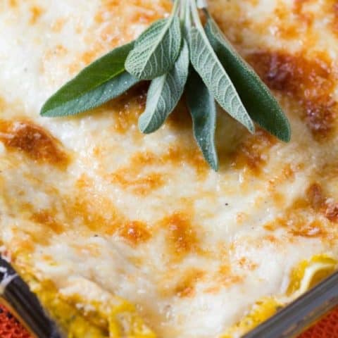 Sage Havarti Butternut Squash Lasagna