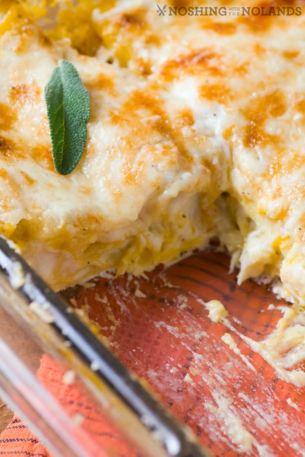 Sage Havarti Butternut Squash Lasagna 