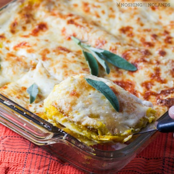 Sage Havarti Butternut Squash Lasagna