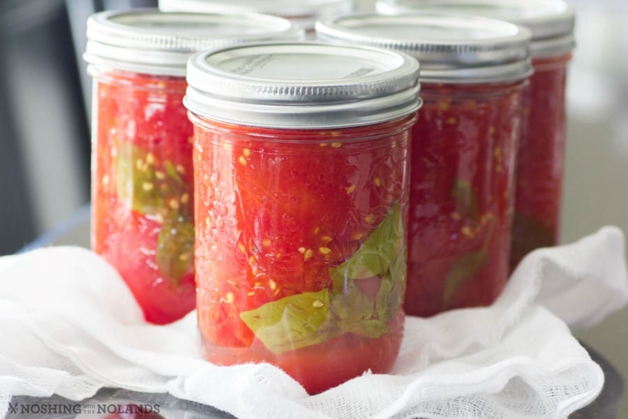 Canned Tomatoes on cheesecloth on a counter