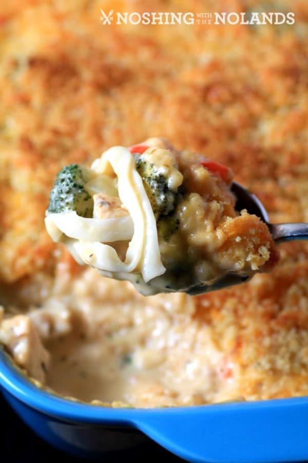 chicken-broccoli-noodle-casserole-by-noshing-with-the-nolands-4-custom