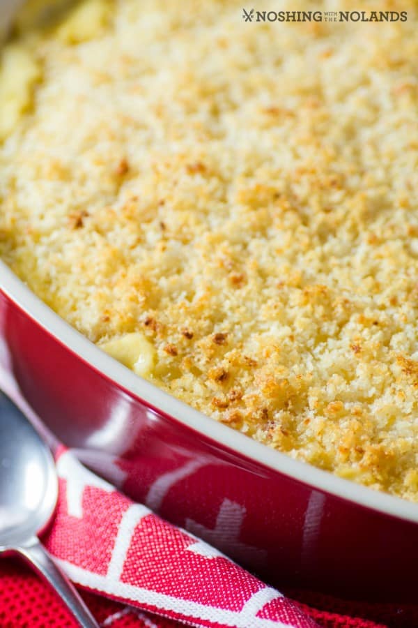 Classic Macaroni and Cheese