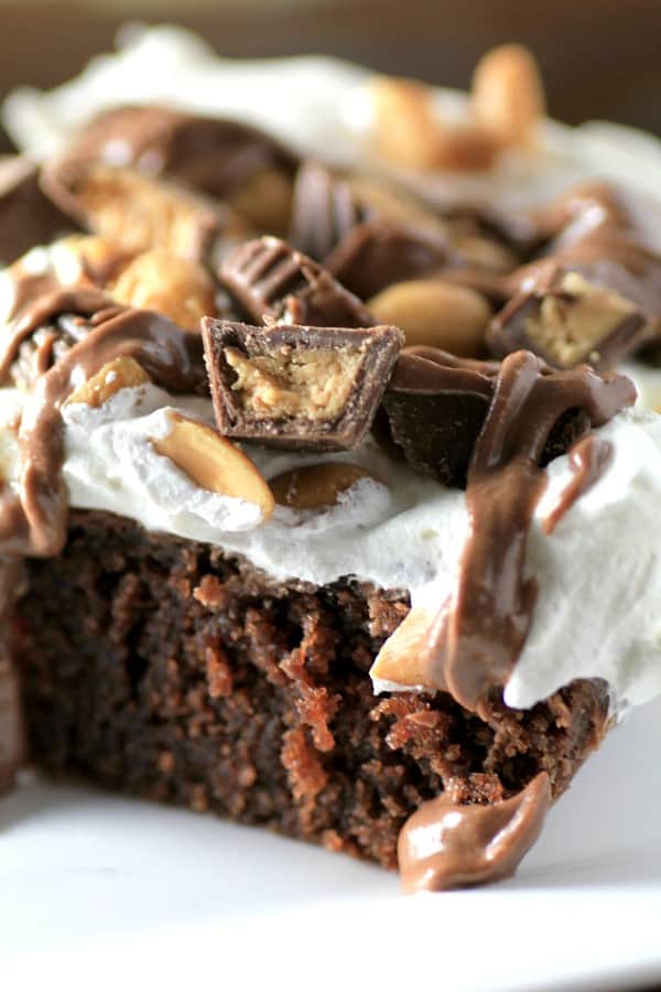 48 Decadent Chocolate Recipes