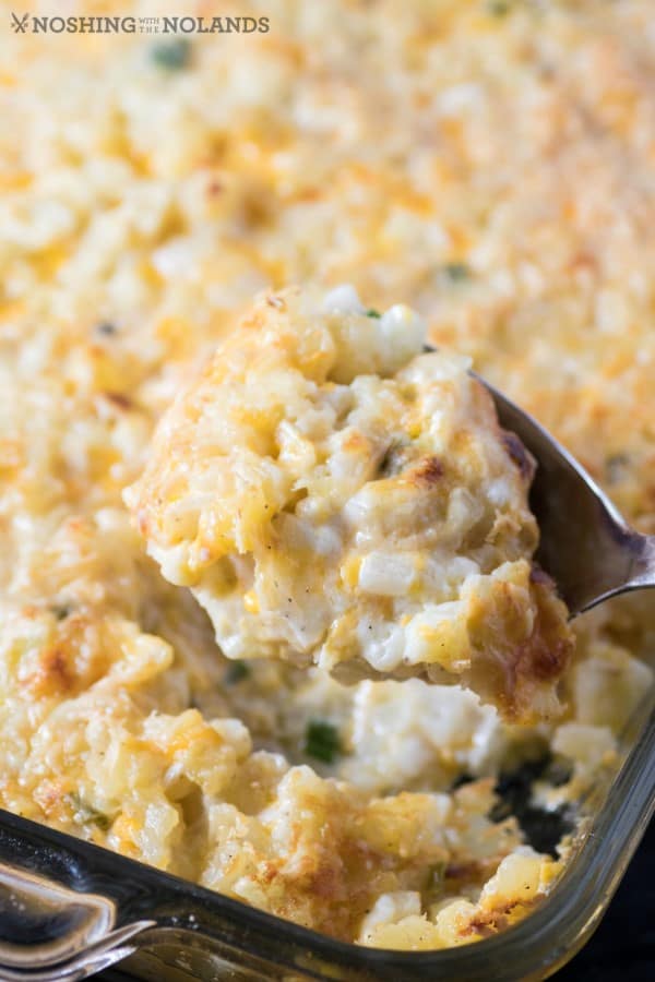 Baked Cheddar Hash Brown Casserole from Noshing with the Nolands