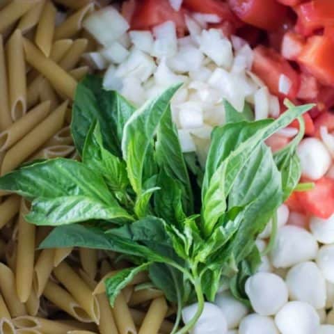 One-Pot Easy Caprese Pasta