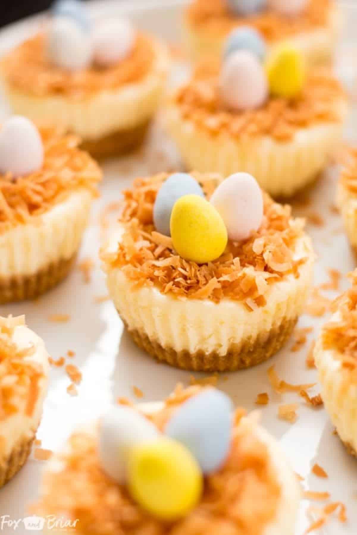 Easter Birds Nest Mini Cheesecakes with mini eggs on top served with a white background.