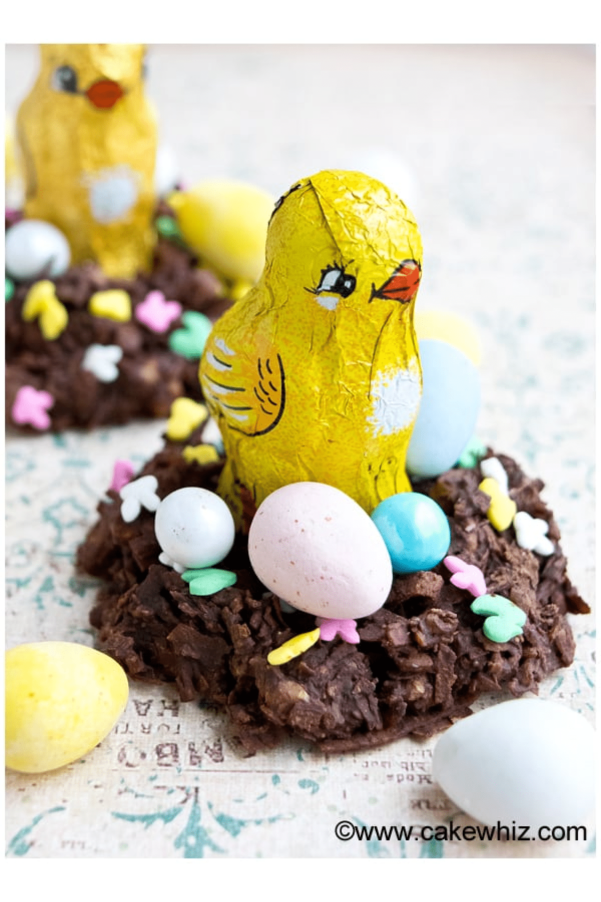 Chocolate Coconut Easter Bird Nests with easter bird chocolate on top with mini eggs. 