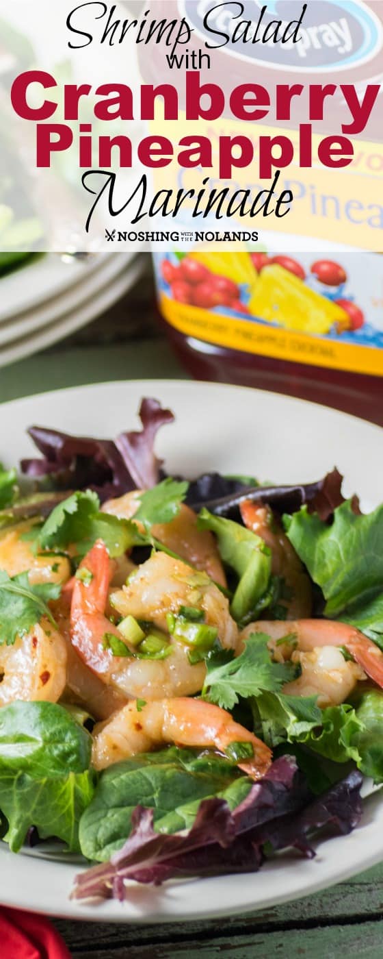 Shrimp Salad with Cranberry Pineapple Marinade