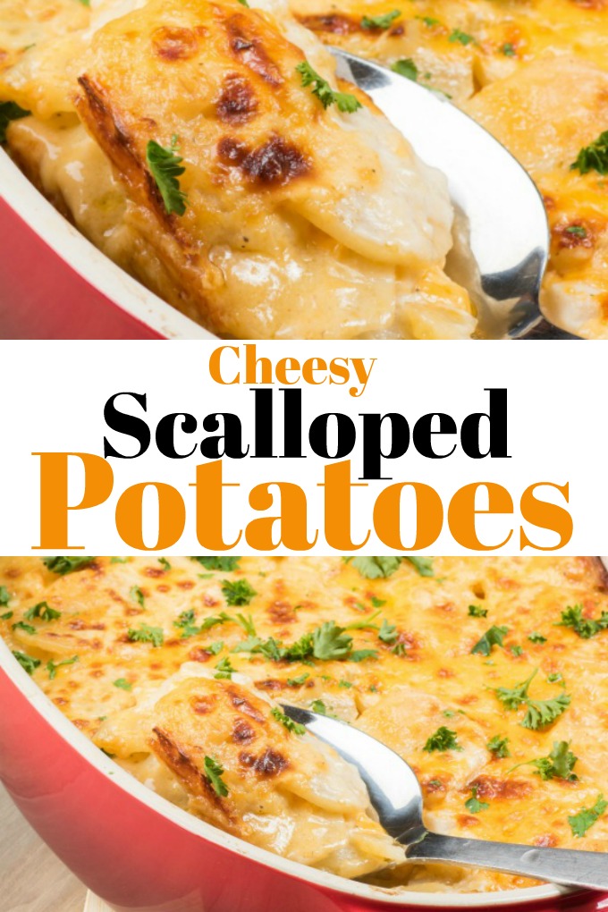 Cheesy Scalloped Potatoes make the bes comforting side dish for anytime of the year!! #scallopedpotatoes #sidedish #potatoes #cheesy