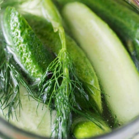 Refrigerator Pickles