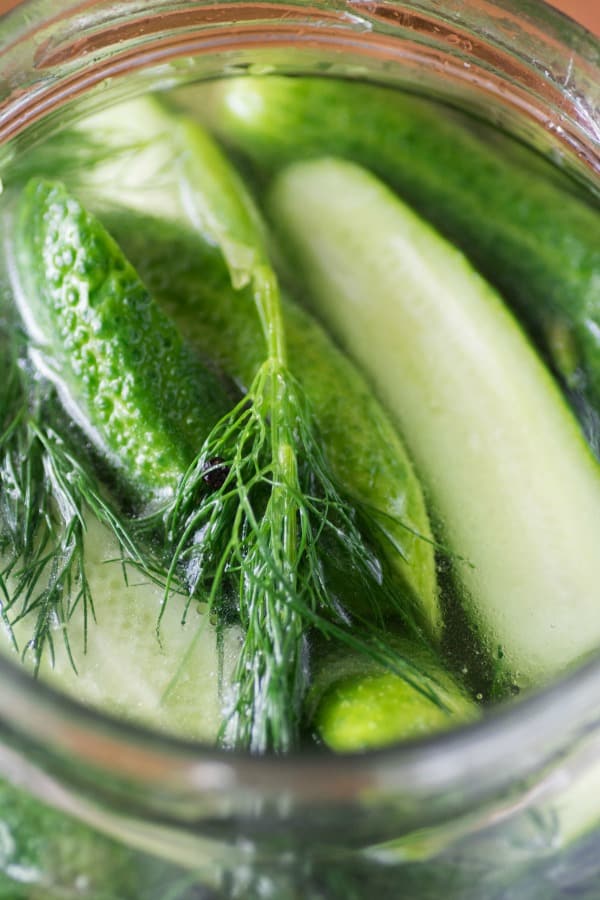 Refrigerator Pickles