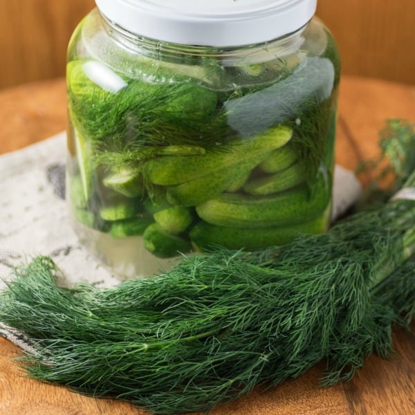 Refrigerator Pickles