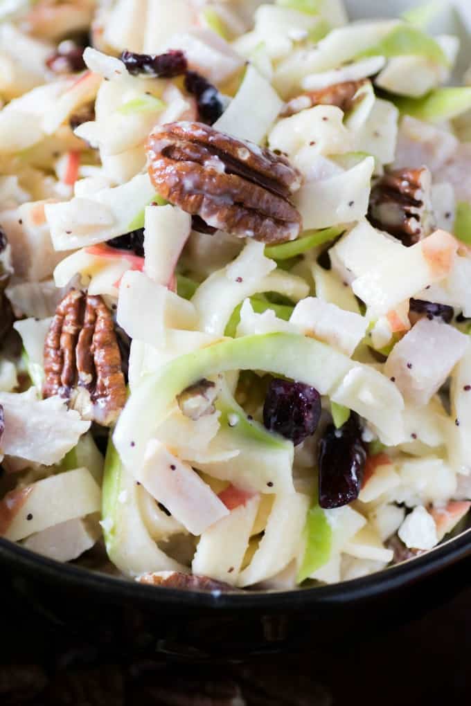 Spiralized Apple Turkey Slaw