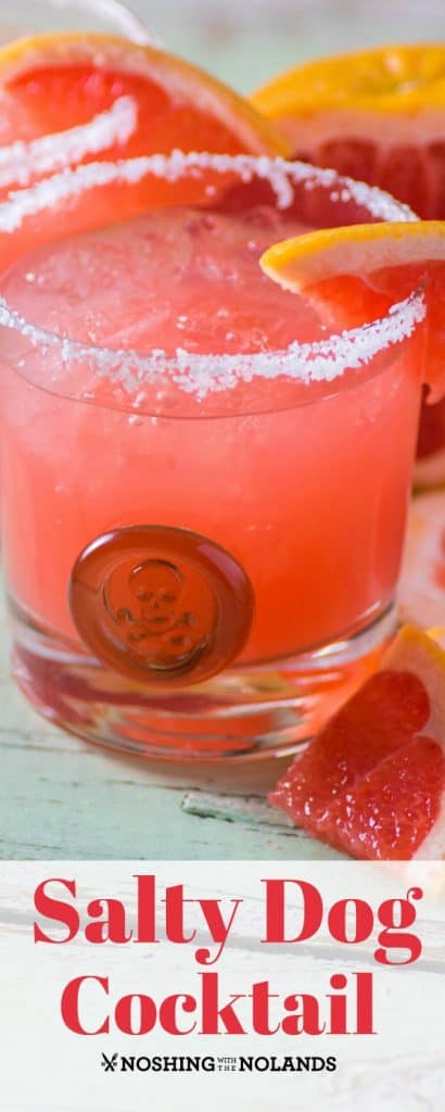 Salty Dog Cocktail, a drink with three ingredients grapefruit, vodka &amp; salt