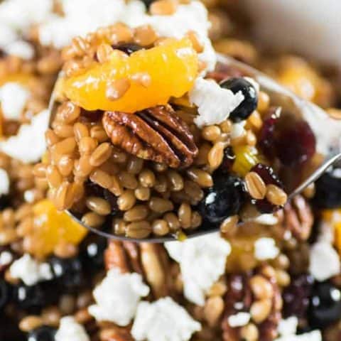 Wheat Berry Salad with Cranberries, Pecans and Goat Cheese