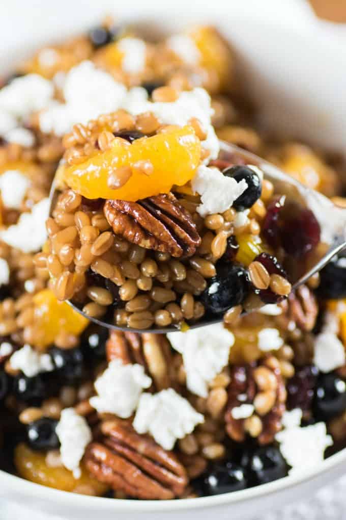 Wheat Berry Salad with Cranberries, Pecans and Goat Cheese