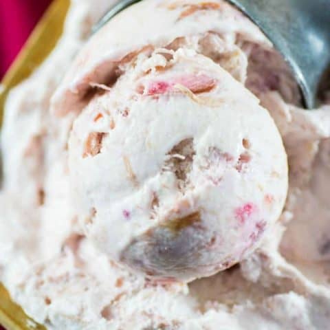 No Churn Rhubarb Ice Cream Recipe