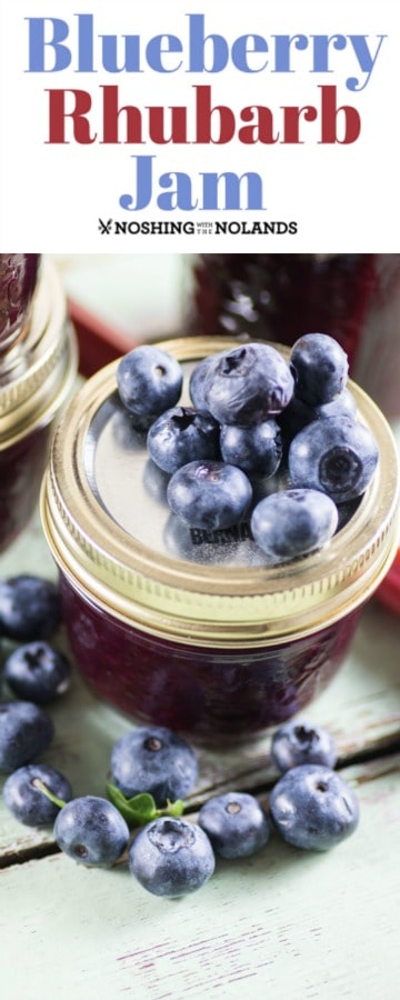 Blueberry Rhubarb Jam pin