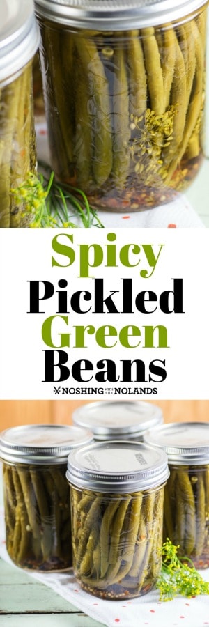 Spicy Pickled Green Beans are the perfect appetizer with charcuterie, a Bloody Mary or Caesar. 