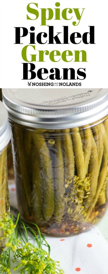 Spicy Pickled Green Beans are a great appetizer or perfect with a Bloody Mary or Caesar!