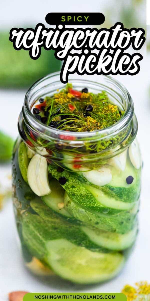 Spicy Lightly Pickled Cucumbers Recipe