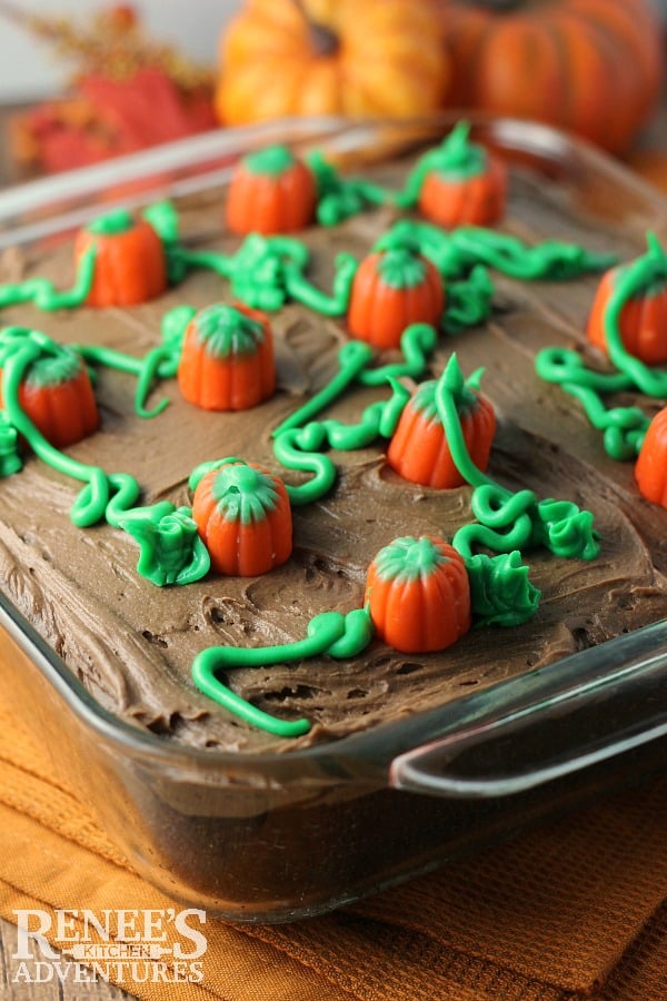 Little mini candy pumpkins on top of a chooclate cake