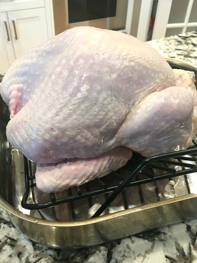 Raw turkey in a roaster