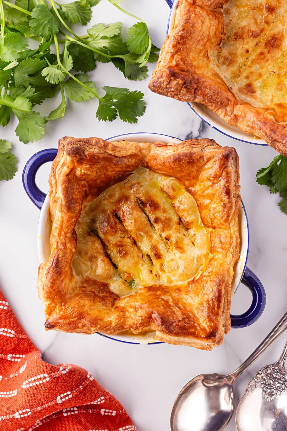 Overhead of Easy Turkey Pot Pie.