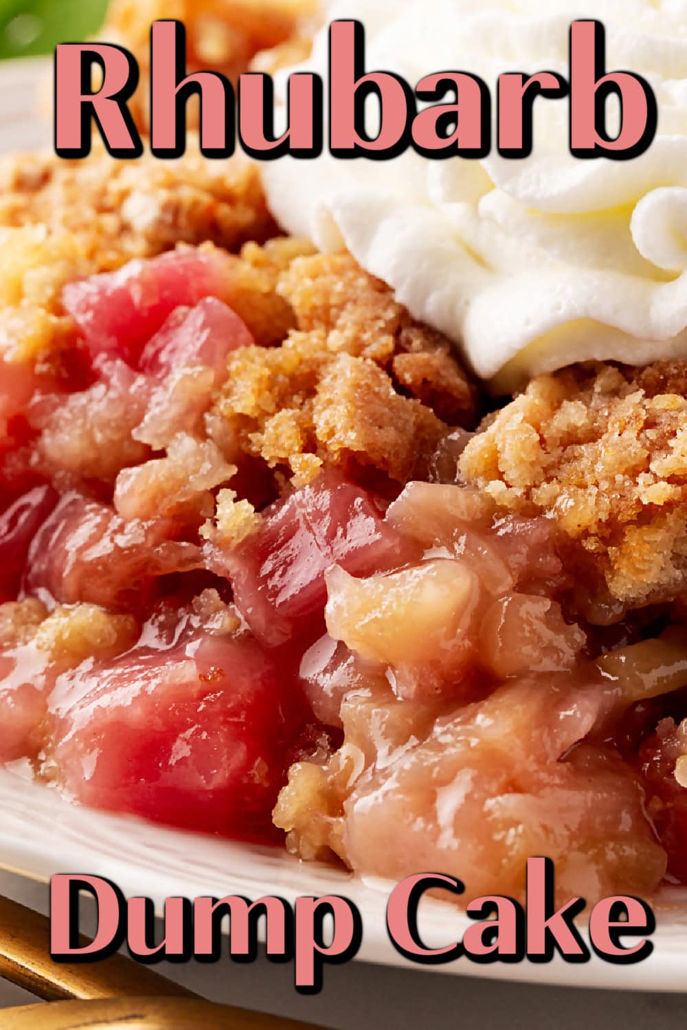 Rhubarb Dump Cake Pin. 