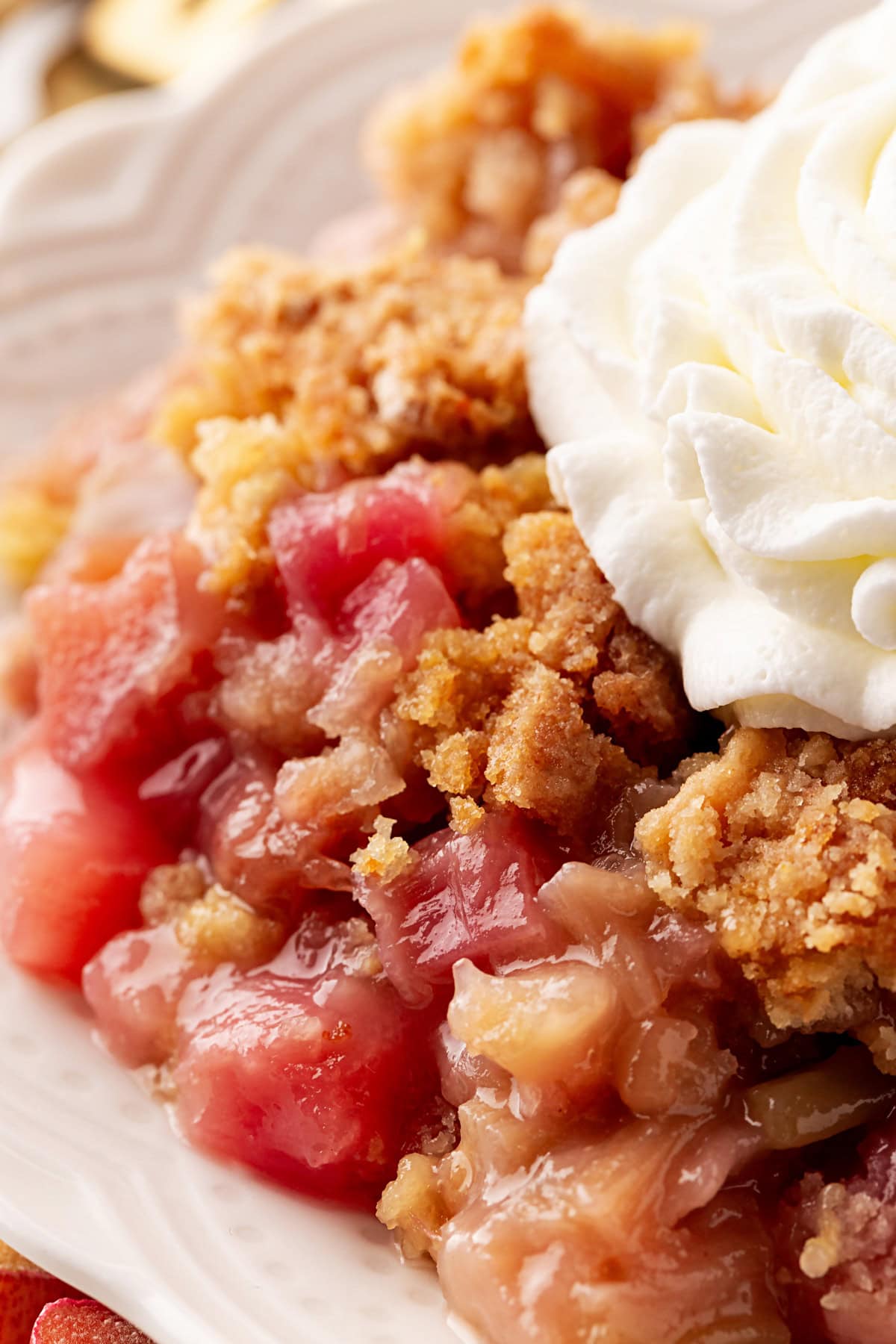 45 Delectable Rhubarb Recipes will offer you recipes to enjoy all year long!! #rhubarb #recipes #dessert Close up of rhubarb dump cake.
