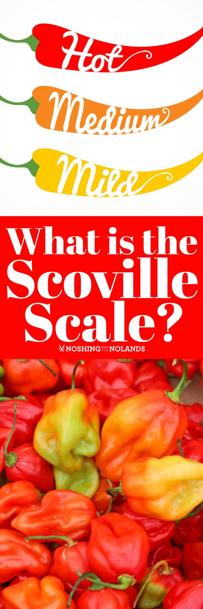 What is the Scoville Scale? Learn all about the ranking of peppers and their heat content. #scovillescale #peppers #hotpeppers