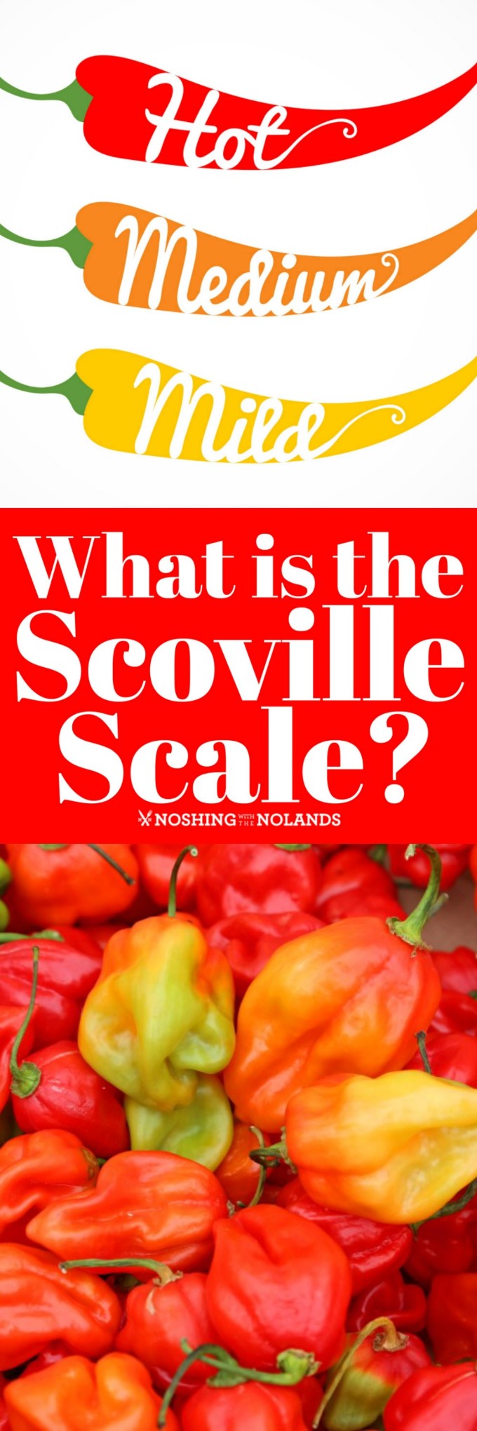 Understanding The Scoville Scale: Made Simple