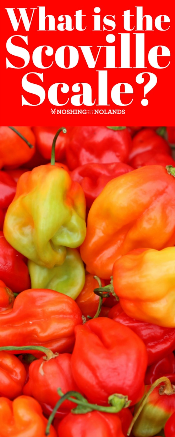 What is the Scoville Scale? Learn all about the ranking of peppers and their heat content. #scovillescale #peppers #hotpeppers